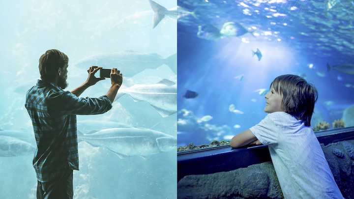 パタヤ 水族館