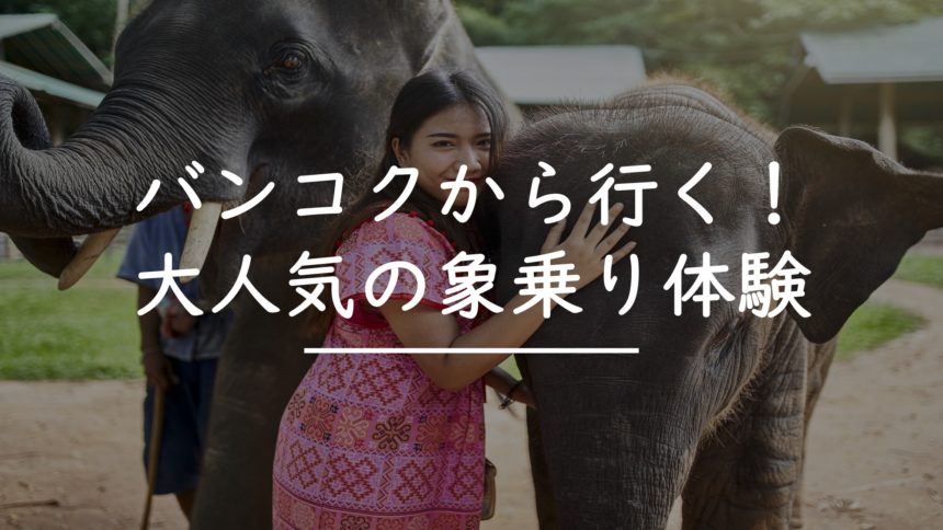 バンコクから行く おすすめの象乗りツアー５選 決定版 タイnavi